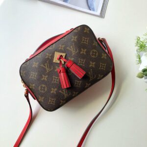 Louis Vuitton SAINTONGE - Image 2