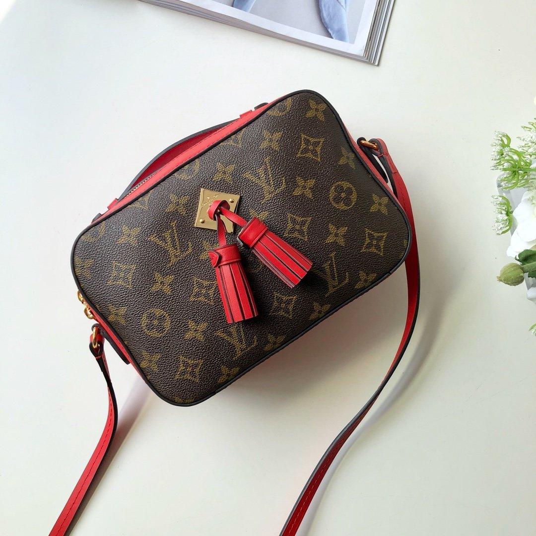 Louis Vuitton SAINTONGE - Image 2