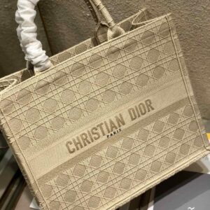 Dior Book Tote - Image 7