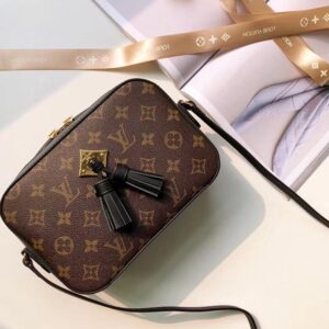 Louis Vuitton SAINTONGE - Image 2