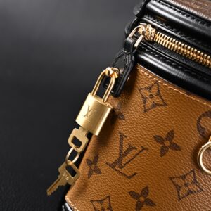 Louis Vuitton Cannes Bag – Monogram Canvas Vanity Case with Top Handle (Small) - Image 4