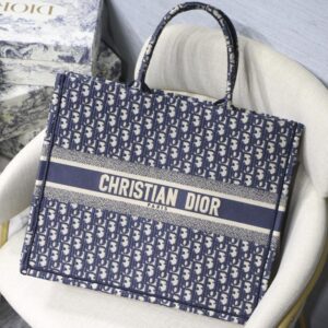 Dior Book Tote Blue