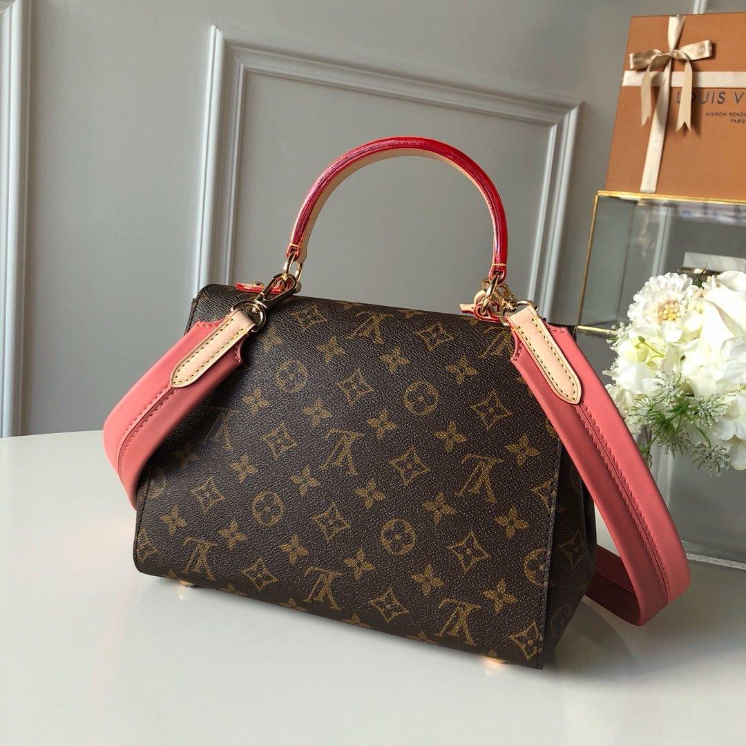 Louis Vuitton CLUNY BB - Image 1