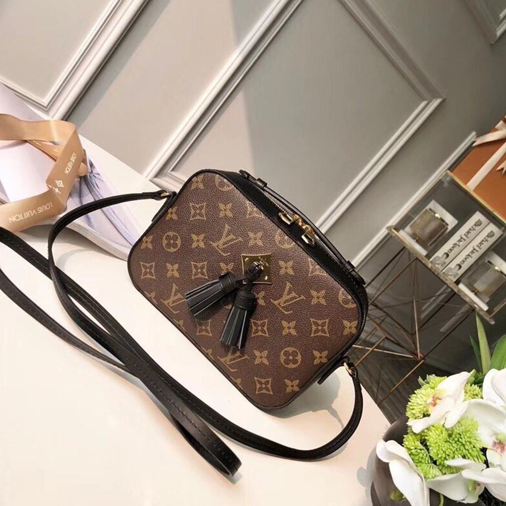 Louis Vuitton SAINTONGE - Image 1