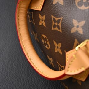 Louis Vuitton Speedy 25 Monogram Canvas Handbag - Image 8