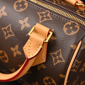 Louis Vuitton Speedy 25 Monogram Canvas Handbag - Image 10