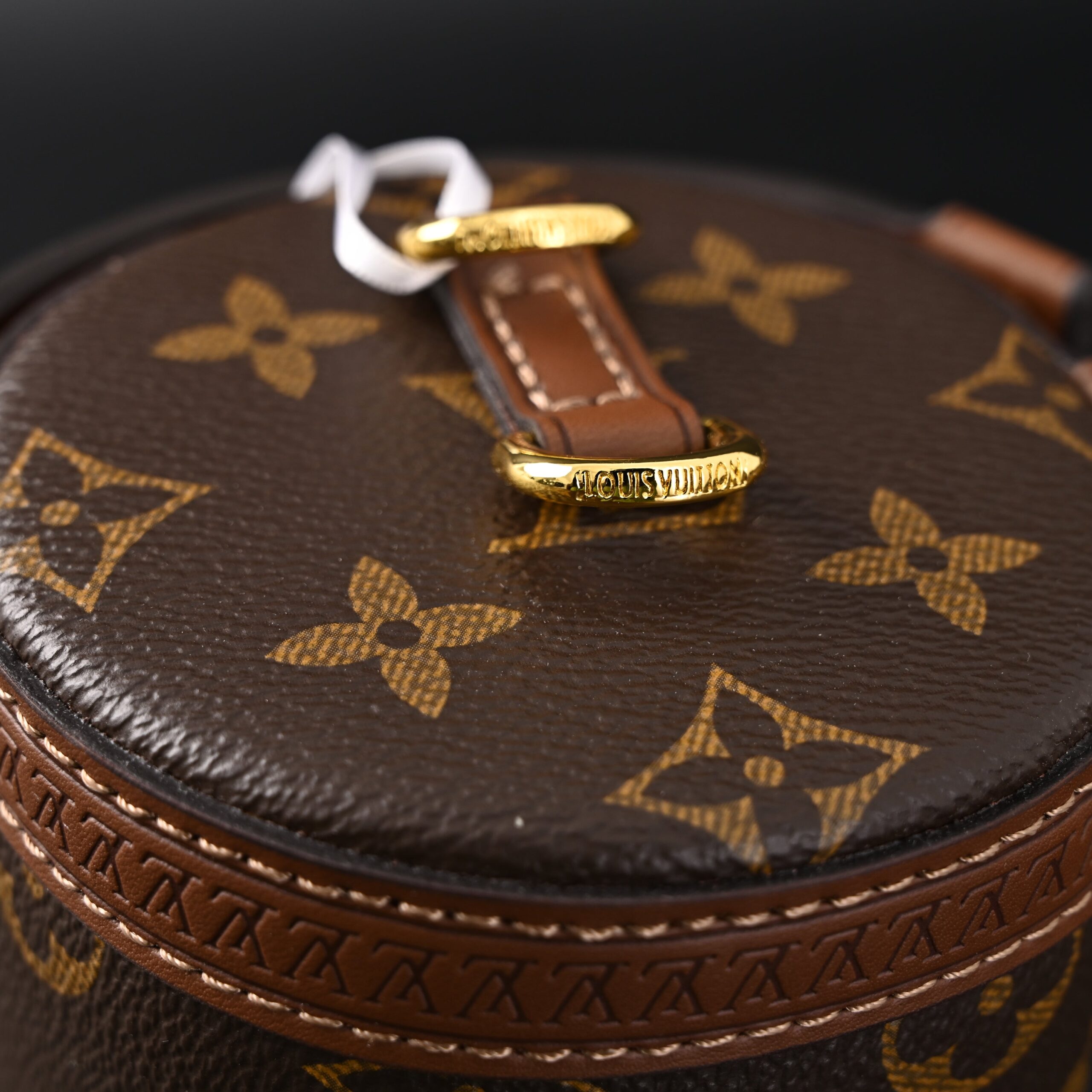 Louis Vuitton Cannes Monogram Canvas Bag - Image 13