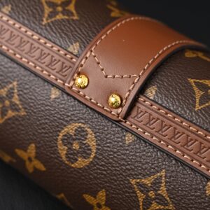 Louis Vuitton Cannes Monogram Canvas Bag - Image 14