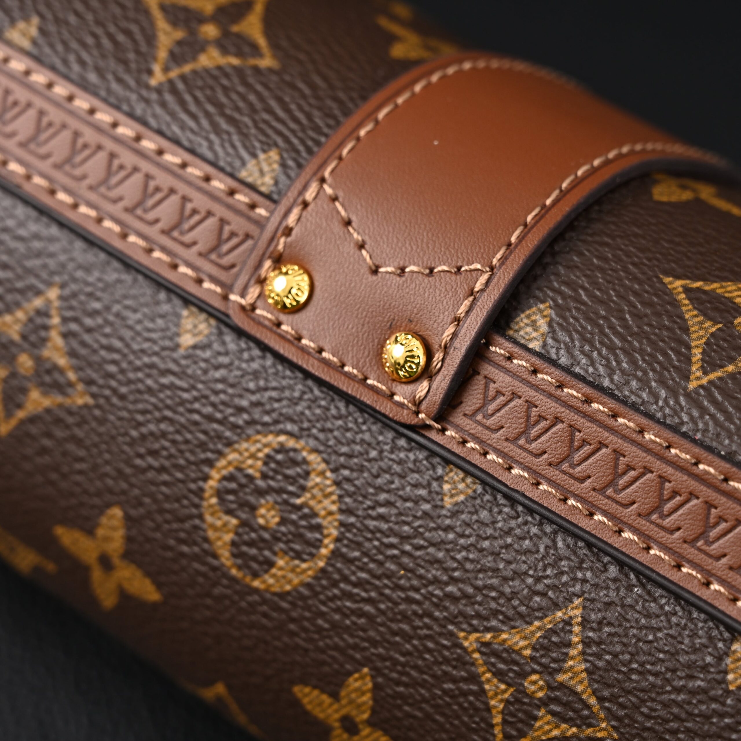 Louis Vuitton Cannes Monogram Canvas Bag - Image 14
