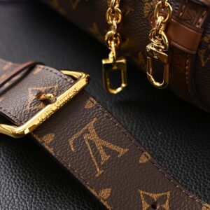 Louis Vuitton Cannes Monogram Canvas Bag - Image 20