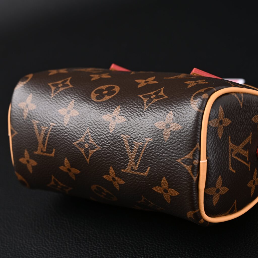 Louis Vuitton Speedy Bandoulière 25 Monogram Canvas | Iconic Crossbody Bag