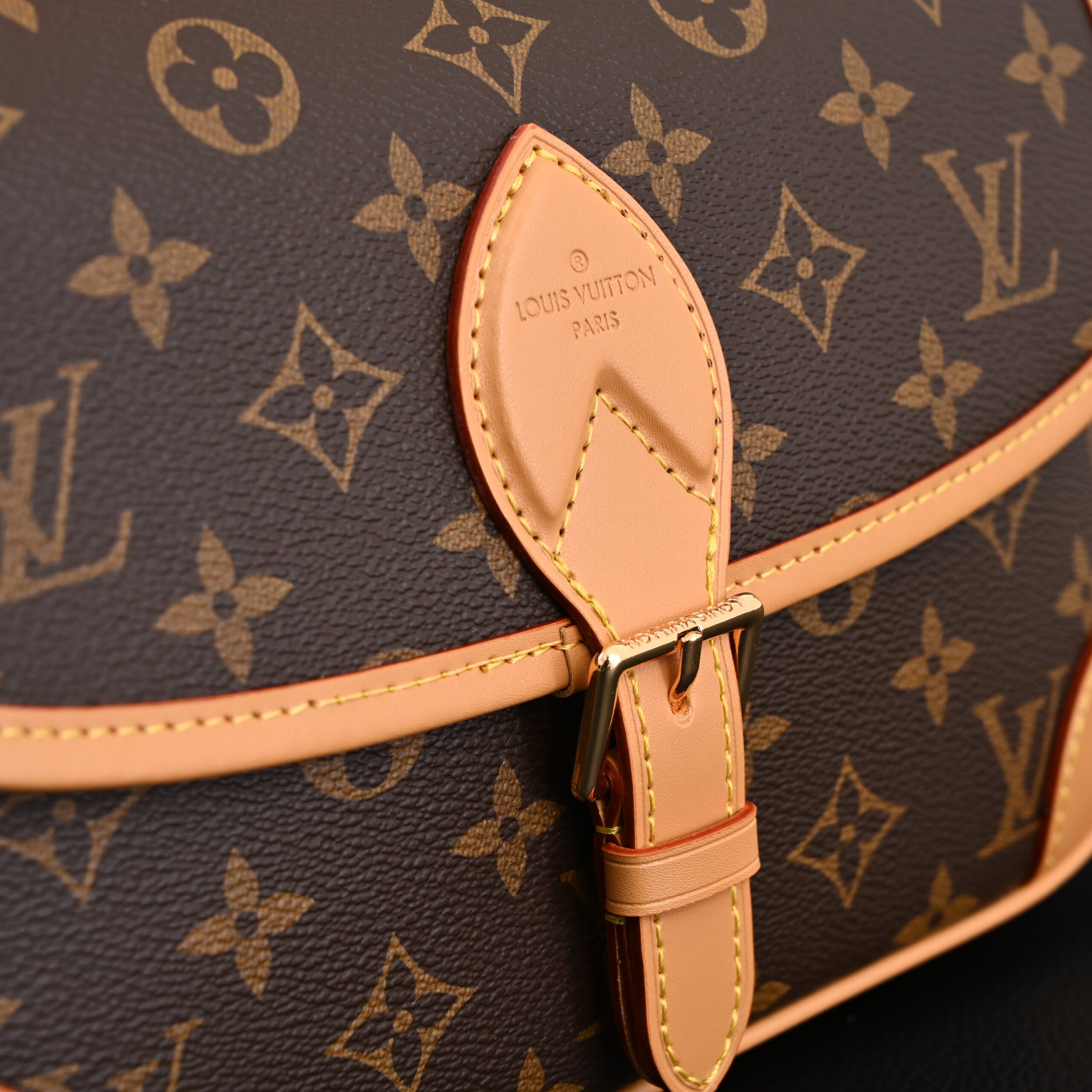 Louis Vuitton Croissant Bag Monogram Canvas - Image 9