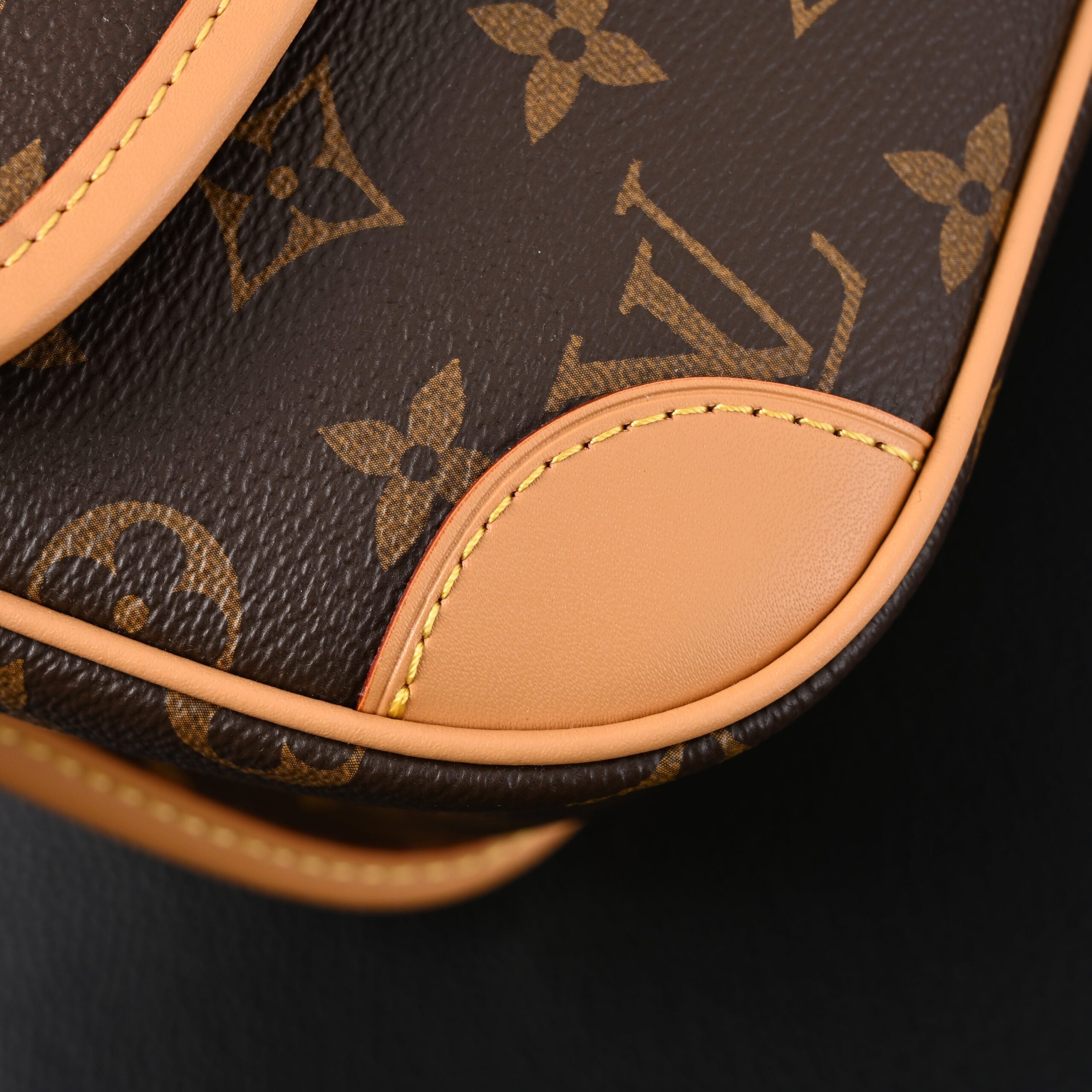 Louis Vuitton Croissant Bag Monogram Canvas - Image 11