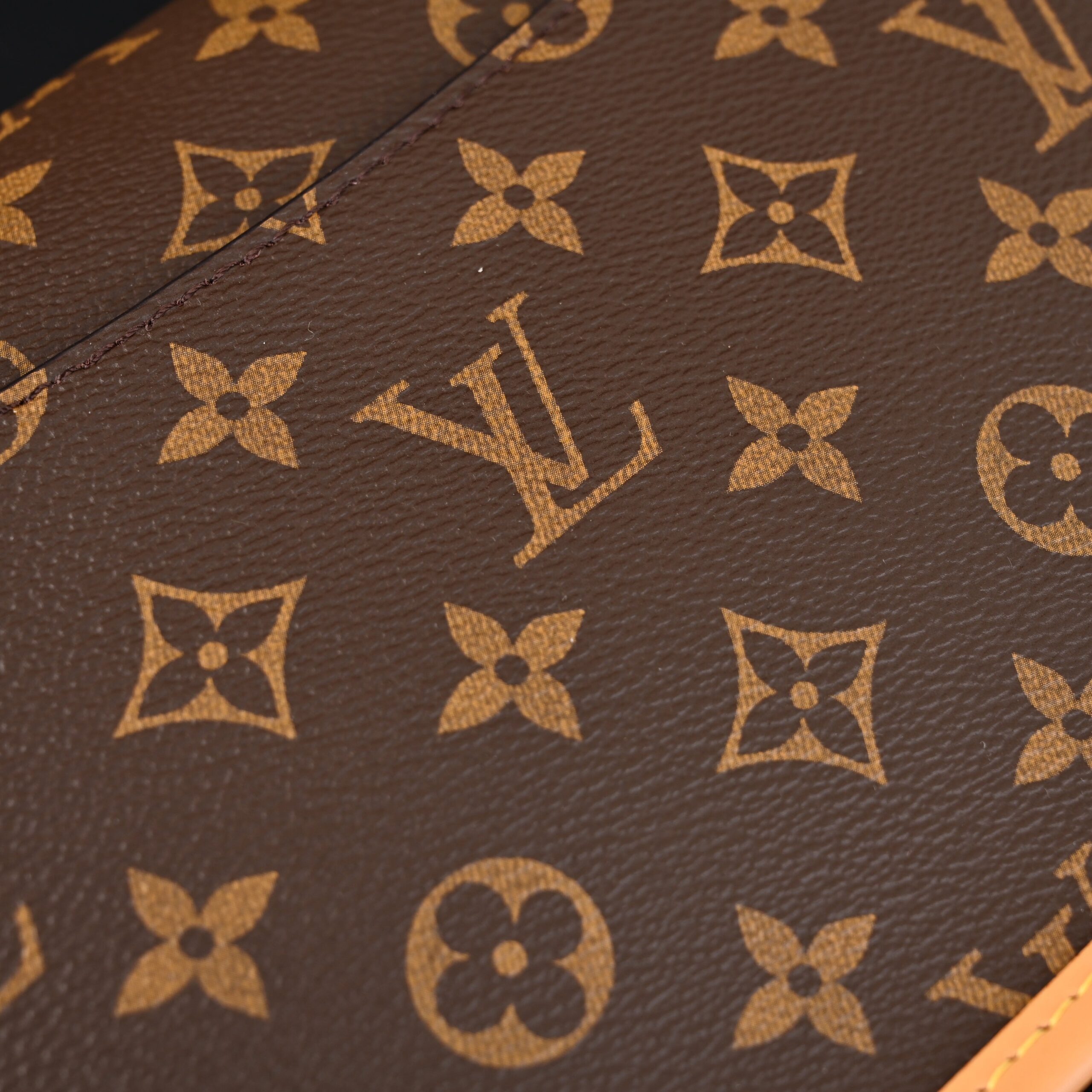 Louis Vuitton Croissant Bag Monogram Canvas - Image 12