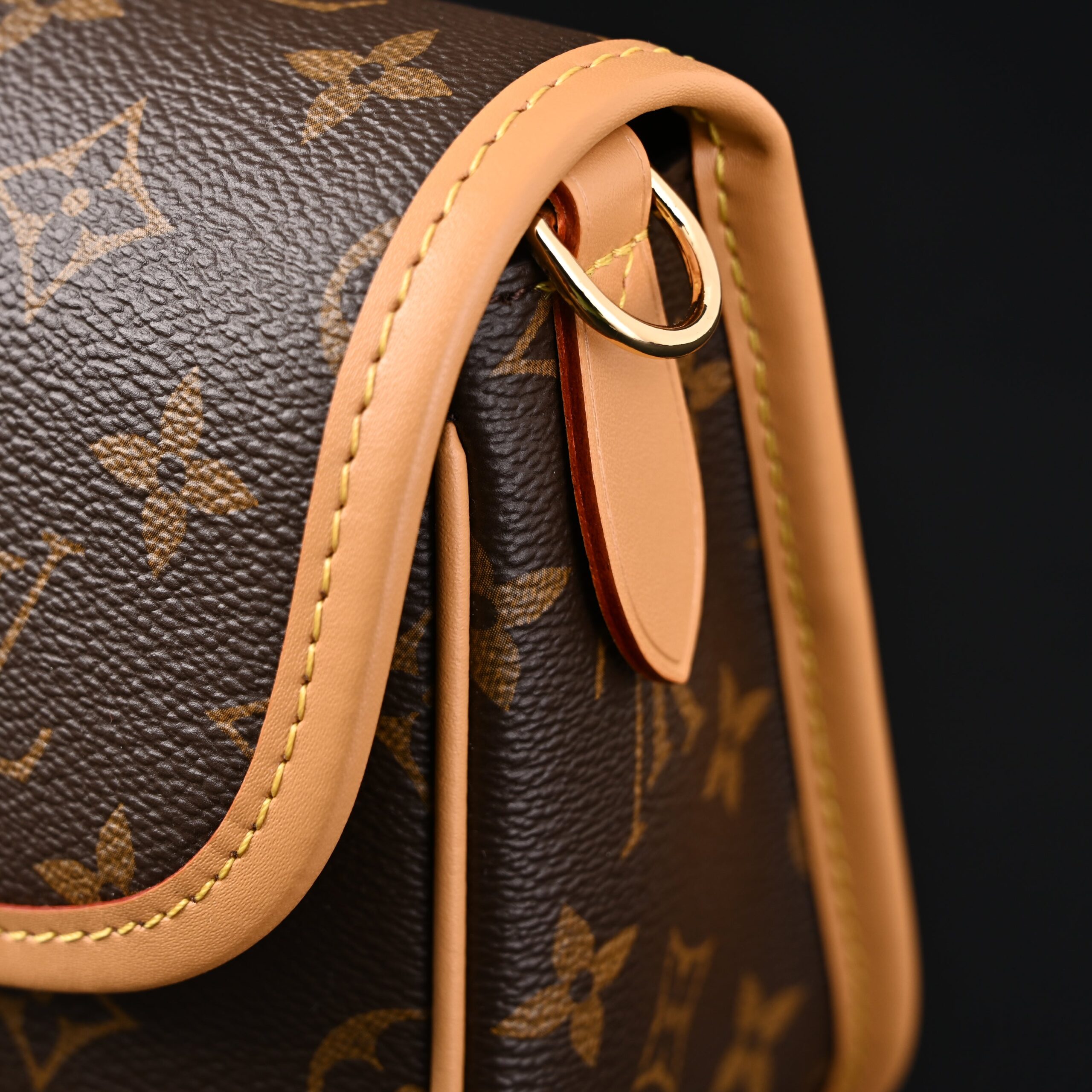 Louis Vuitton Croissant Bag Monogram Canvas - Image 13