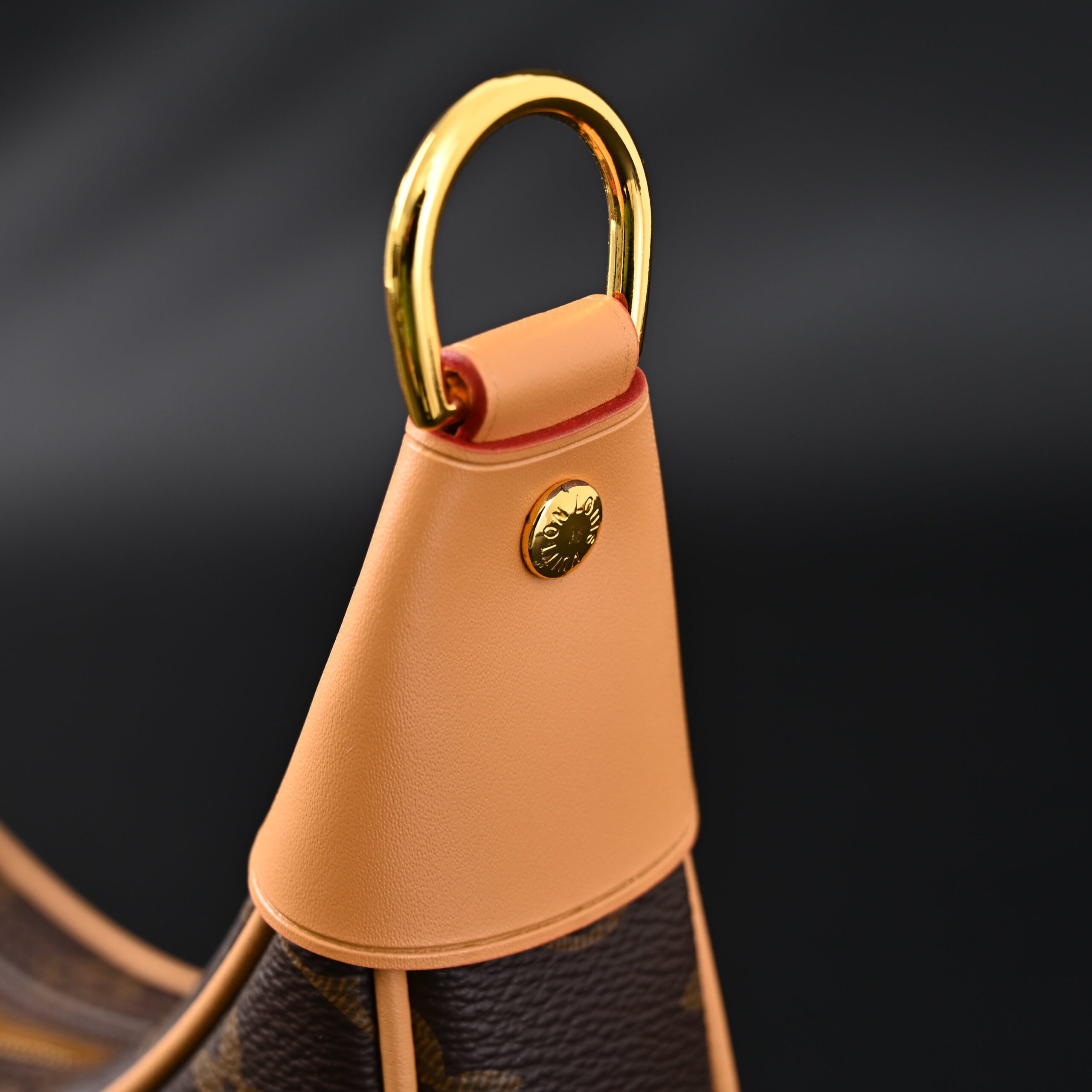 Louis Vuitton Loop Bag – Monogram Canvas with Gold Chain - Image 9