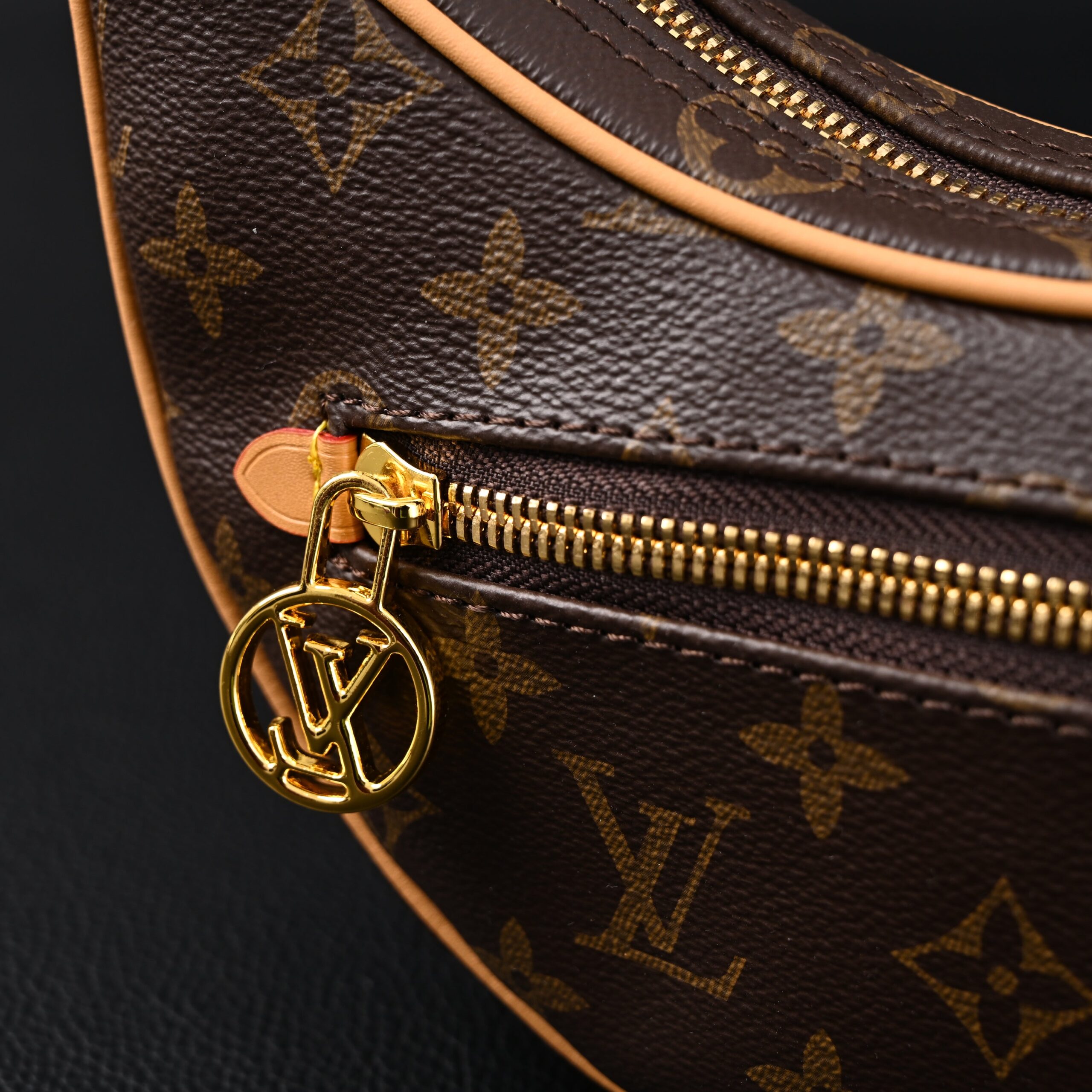 Louis Vuitton Loop Bag – Monogram Canvas with Gold Chain - Image 10