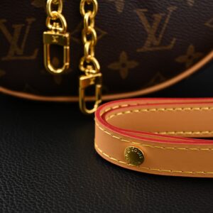 Louis Vuitton Loop Bag – Monogram Canvas with Gold Chain - Image 17