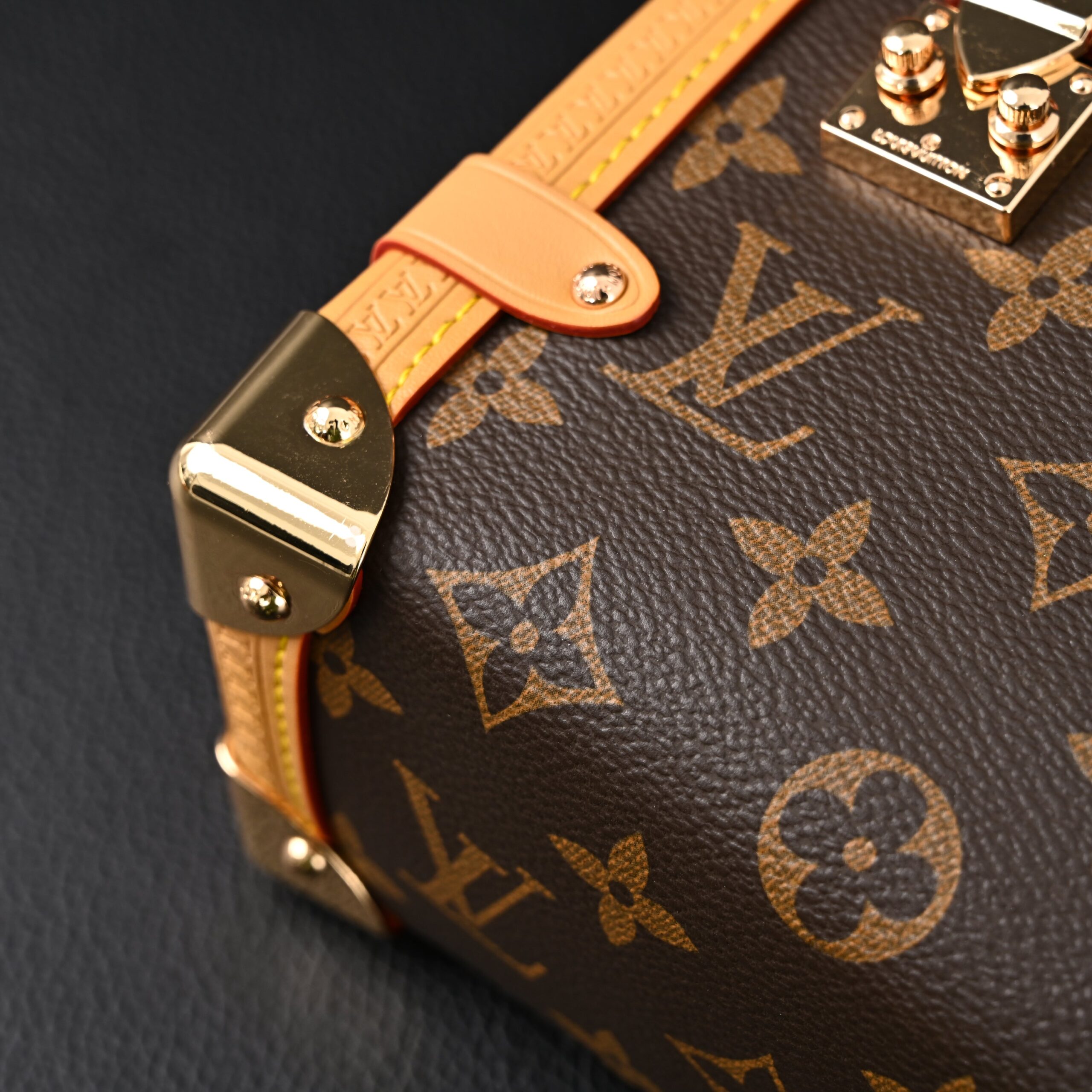 Louis Vuitton Cannes Trunk Bag – Monogram Canvas with Gold-Tone Hardware - Image 10