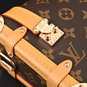 Louis Vuitton Cannes Trunk Bag – Monogram Canvas with Gold-Tone Hardware - Image 11