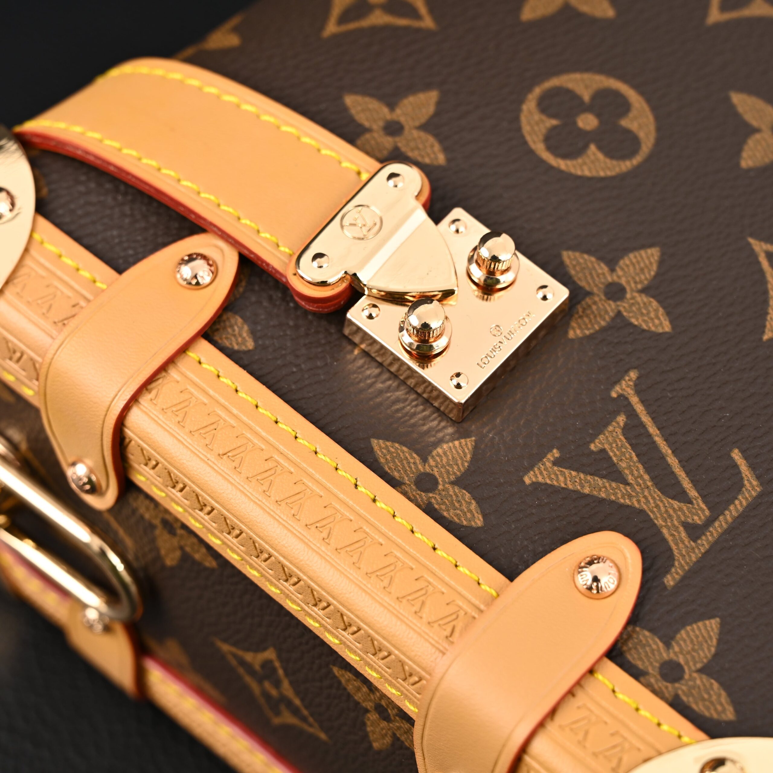 Louis Vuitton Cannes Trunk Bag – Monogram Canvas with Gold-Tone Hardware - Image 11
