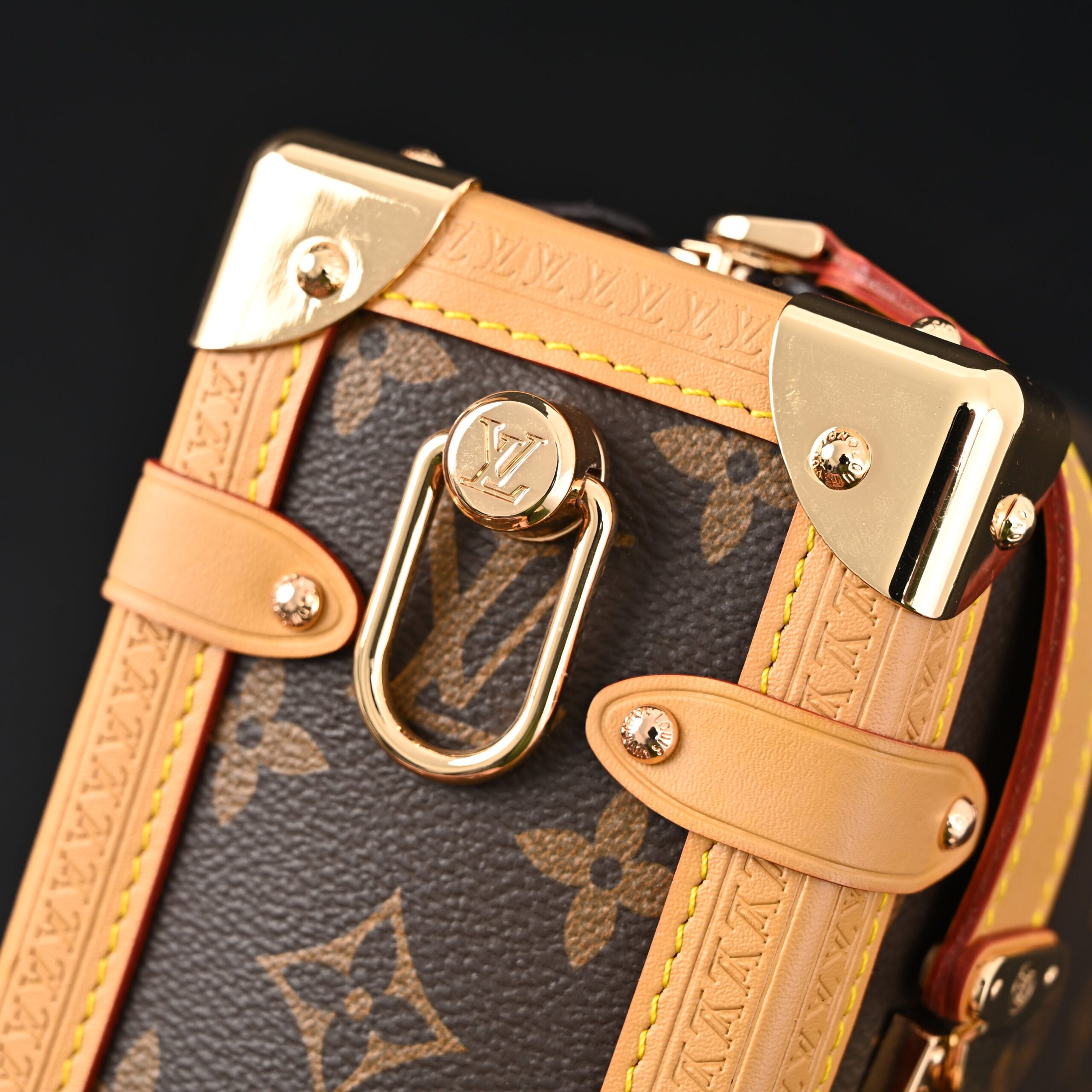 Louis Vuitton Cannes Trunk Bag – Monogram Canvas with Gold-Tone Hardware - Image 12