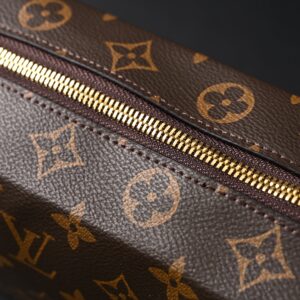 Louis Vuitton Cannes Trunk Bag – Monogram Canvas with Gold-Tone Hardware - Image 14