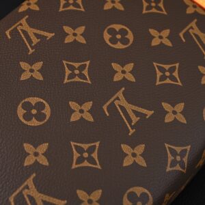 Louis Vuitton Cannes Trunk Bag – Monogram Canvas with Gold-Tone Hardware - Image 15