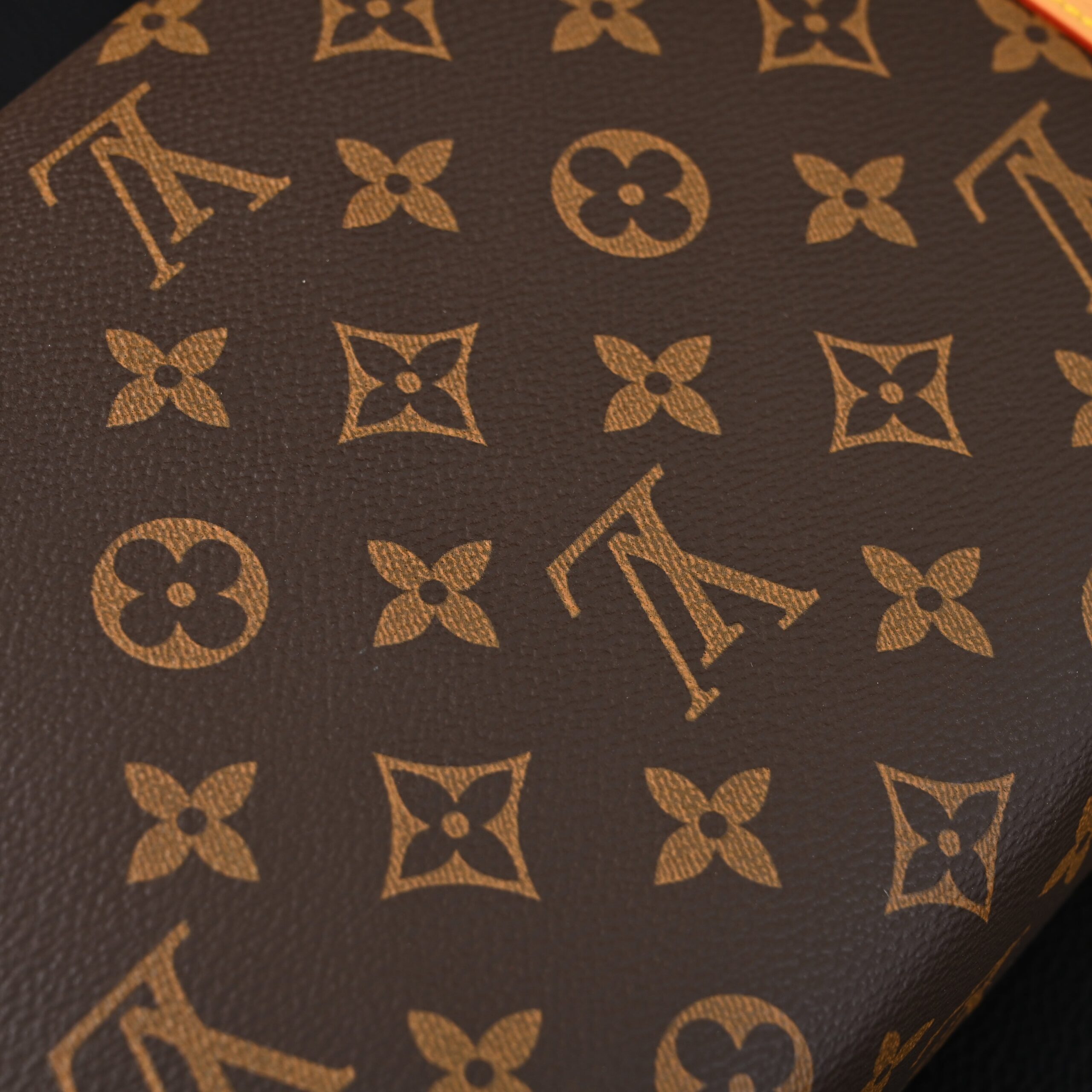 Louis Vuitton Cannes Trunk Bag – Monogram Canvas with Gold-Tone Hardware - Image 15