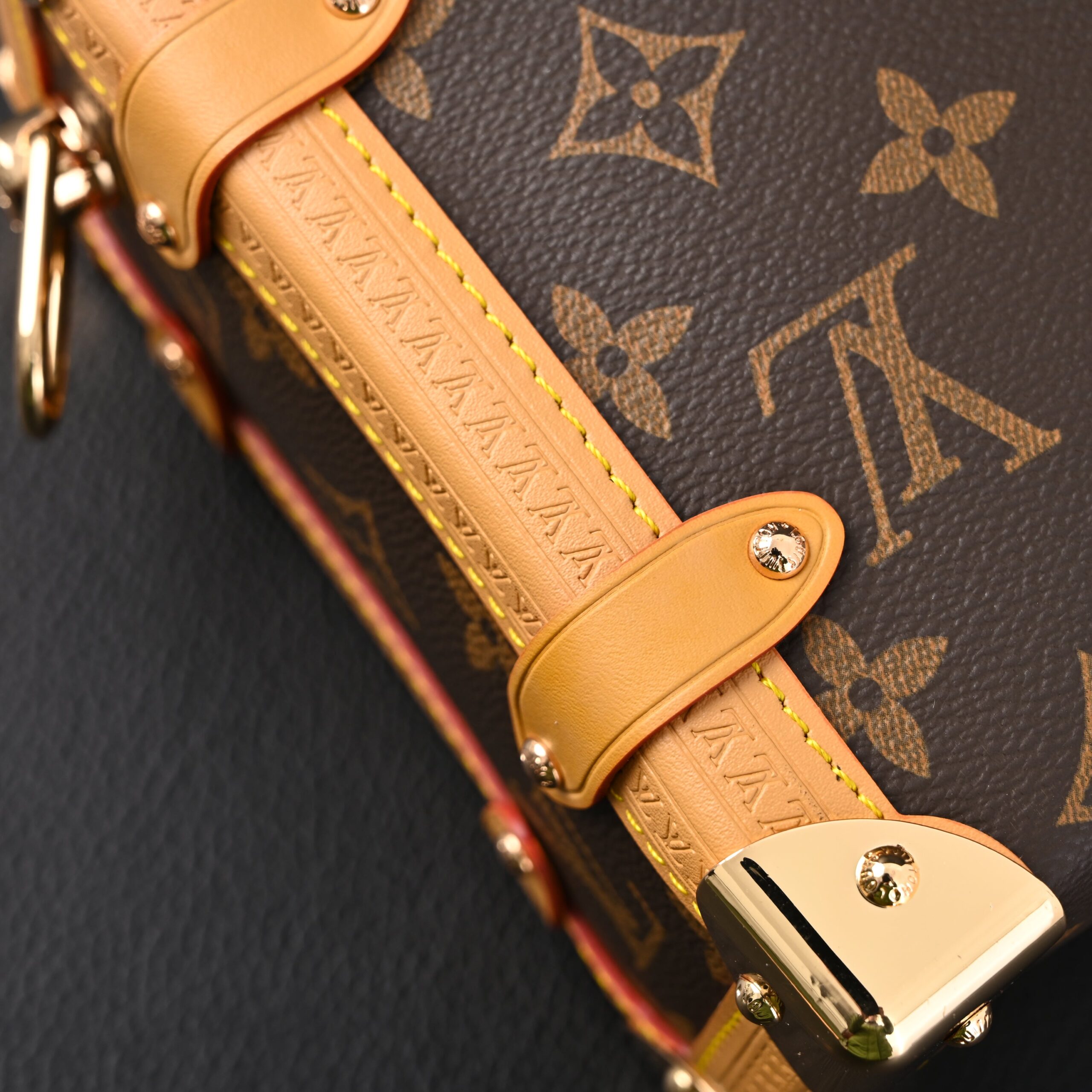 Louis Vuitton Cannes Trunk Bag – Monogram Canvas with Gold-Tone Hardware - Image 16