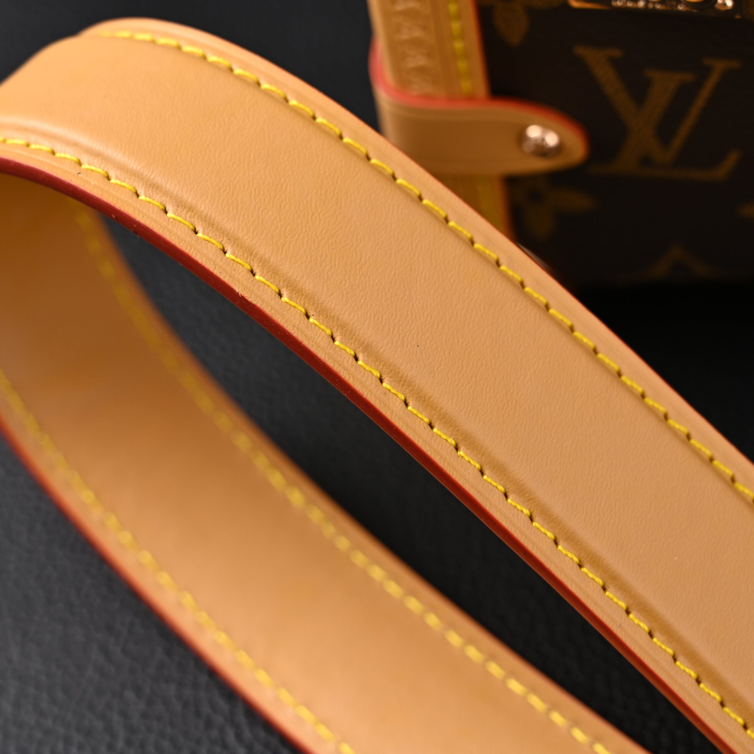 Louis Vuitton Cannes Trunk Bag – Monogram Canvas with Gold-Tone Hardware - Image 18