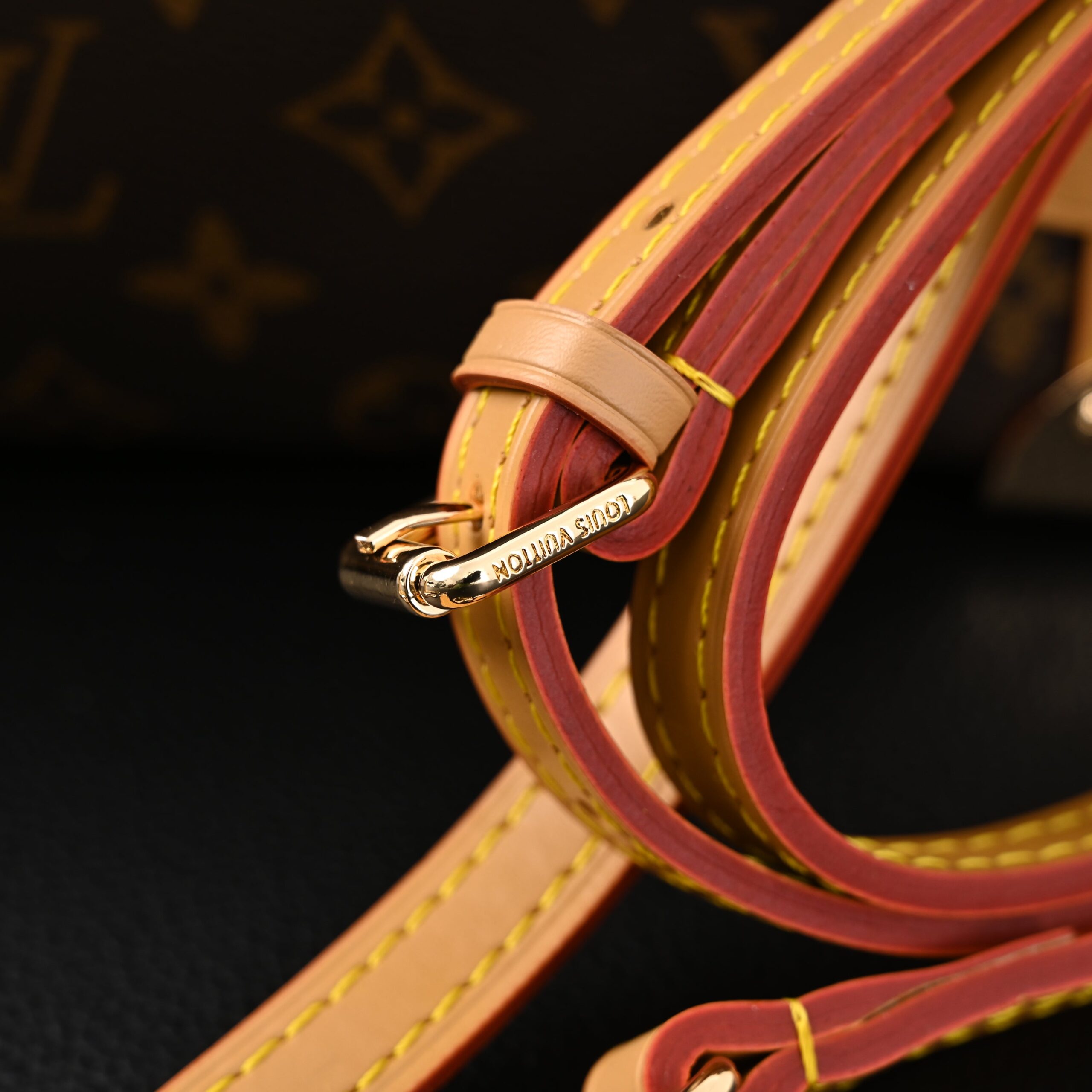 Louis Vuitton Cannes Trunk Bag – Monogram Canvas with Gold-Tone Hardware - Image 19