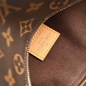 Louis Vuitton Cannes Trunk Bag – Monogram Canvas with Gold-Tone Hardware - Image 20