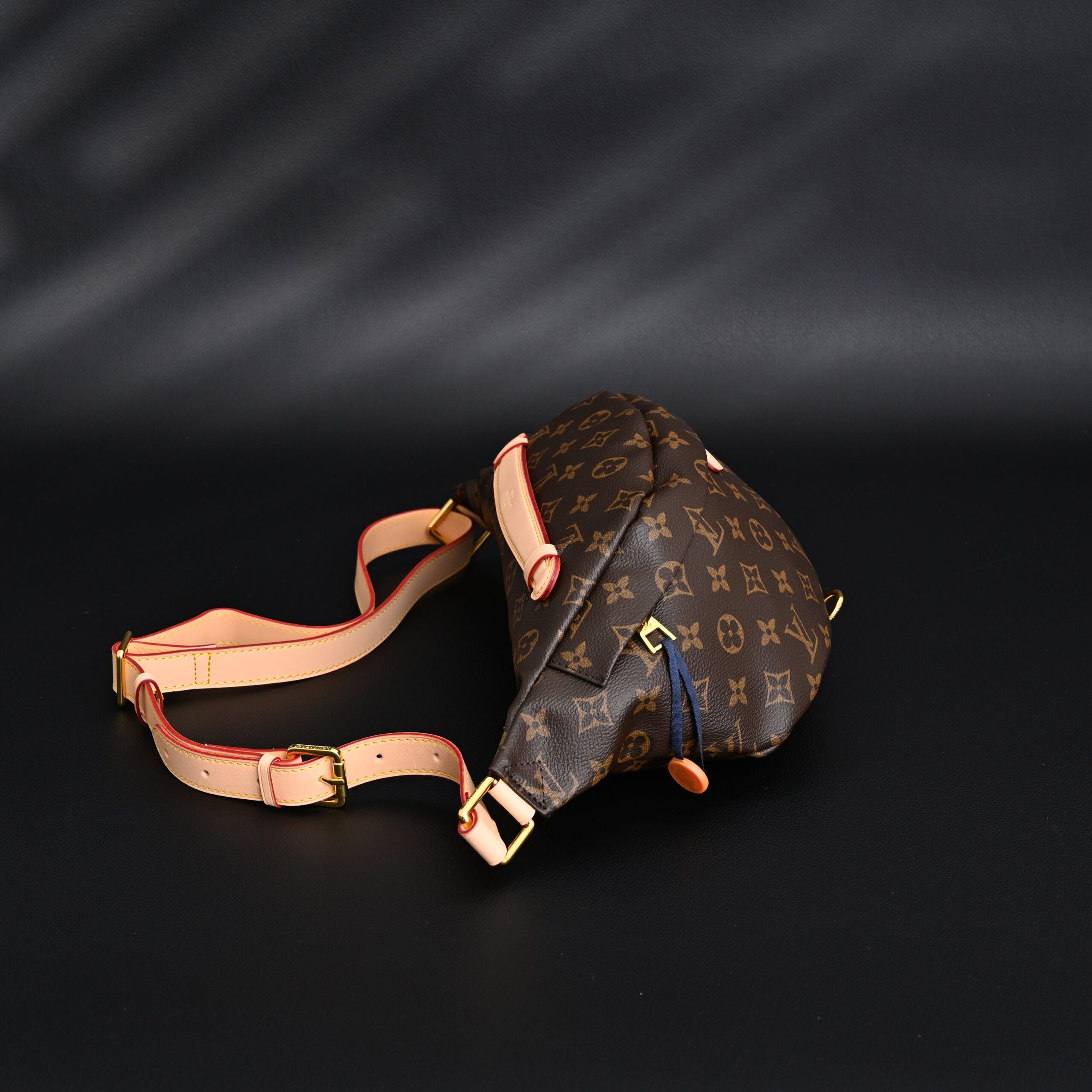 Louis Vuitton Bumbag – Monogram Canvas Waist & Crossbody Bag - Image 3
