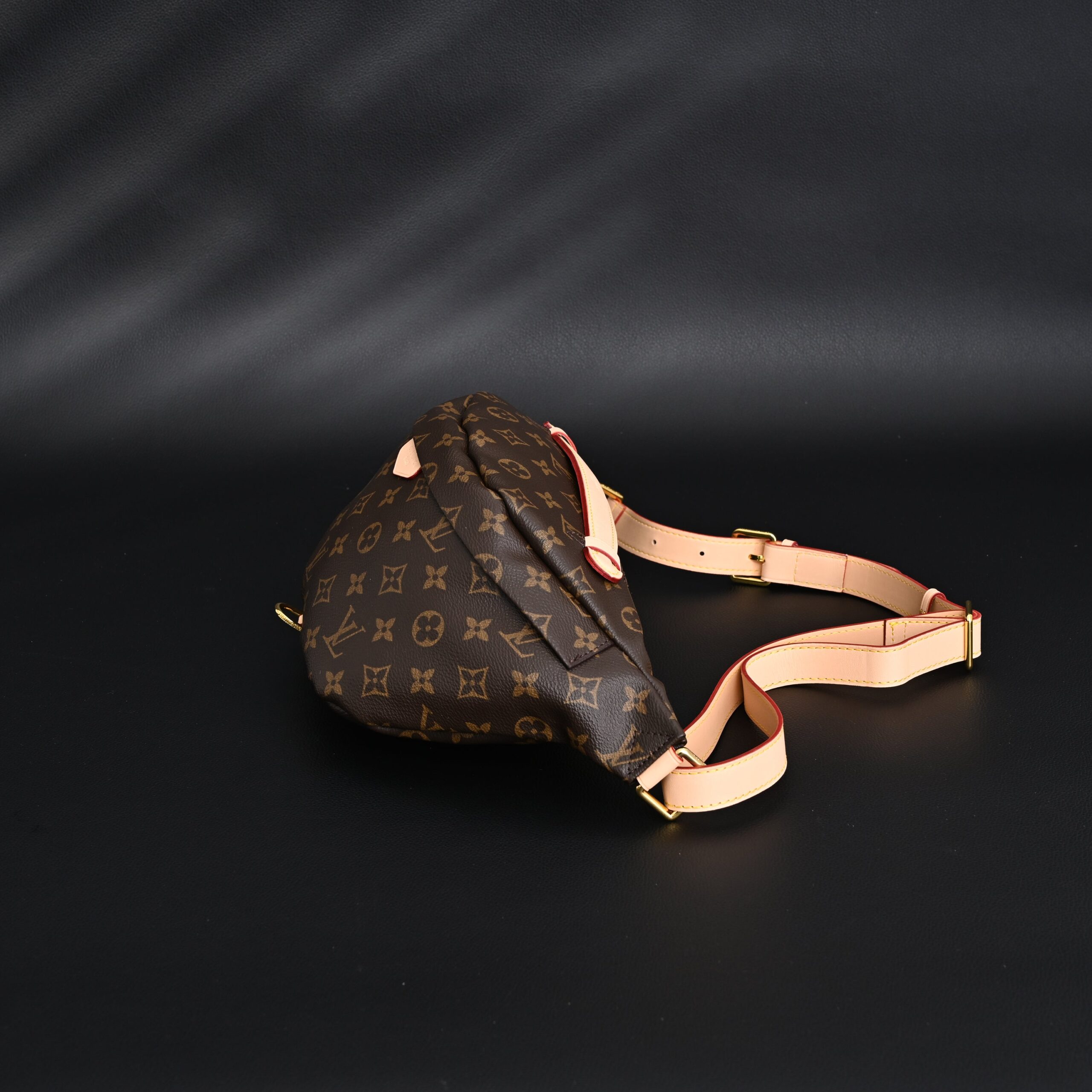 Louis Vuitton Bumbag – Monogram Canvas Waist & Crossbody Bag - Image 7