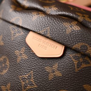 Louis Vuitton Bumbag – Monogram Canvas Waist & Crossbody Bag - Image 9