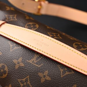 Louis Vuitton Bumbag – Monogram Canvas Waist & Crossbody Bag - Image 11
