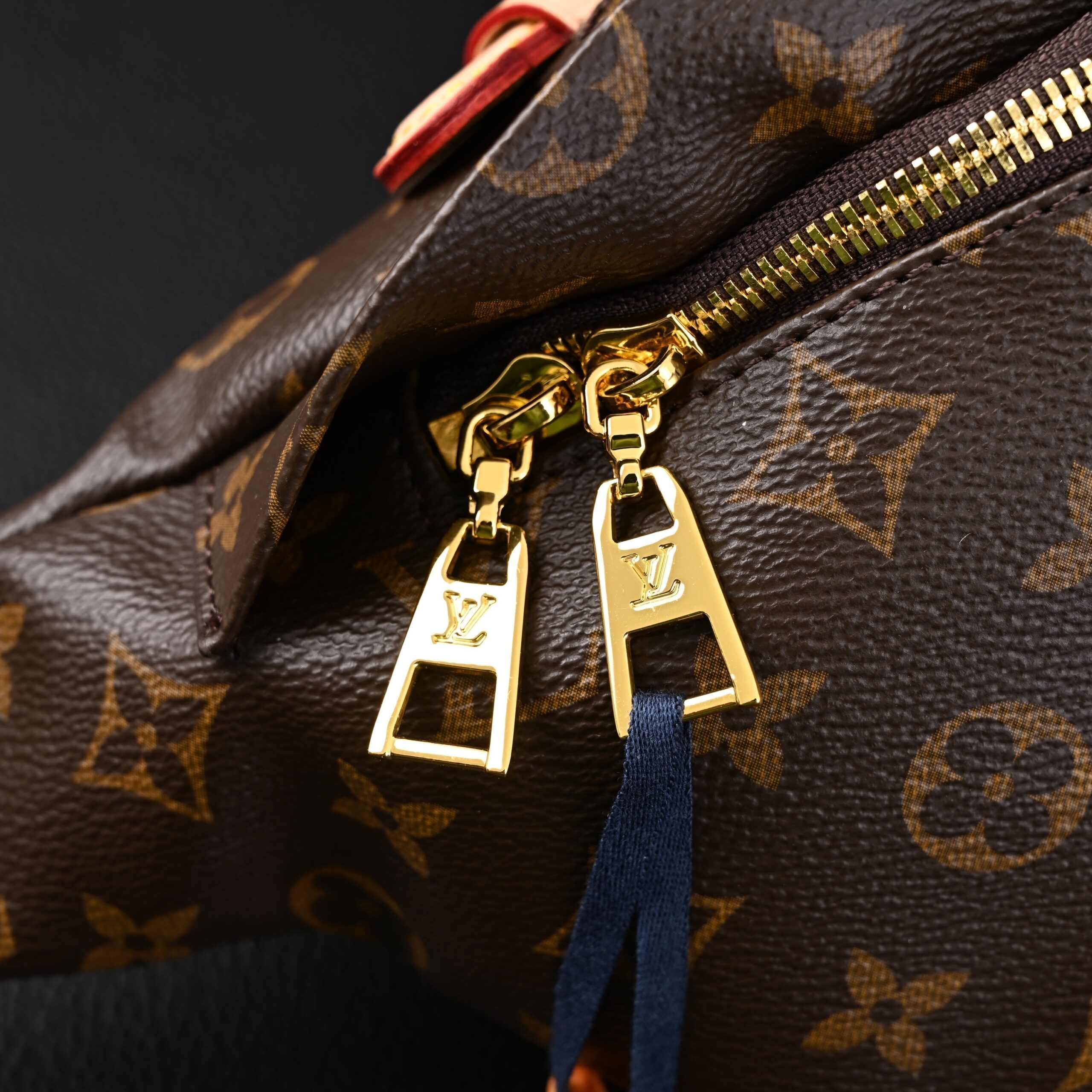 Louis Vuitton Bumbag – Monogram Canvas Waist & Crossbody Bag - Image 17