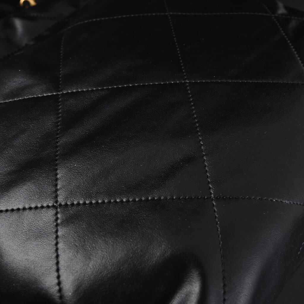 Chanel 19 Flap Bag – Black Quilted Lambskin with Gold & Ruthenium Hardware
