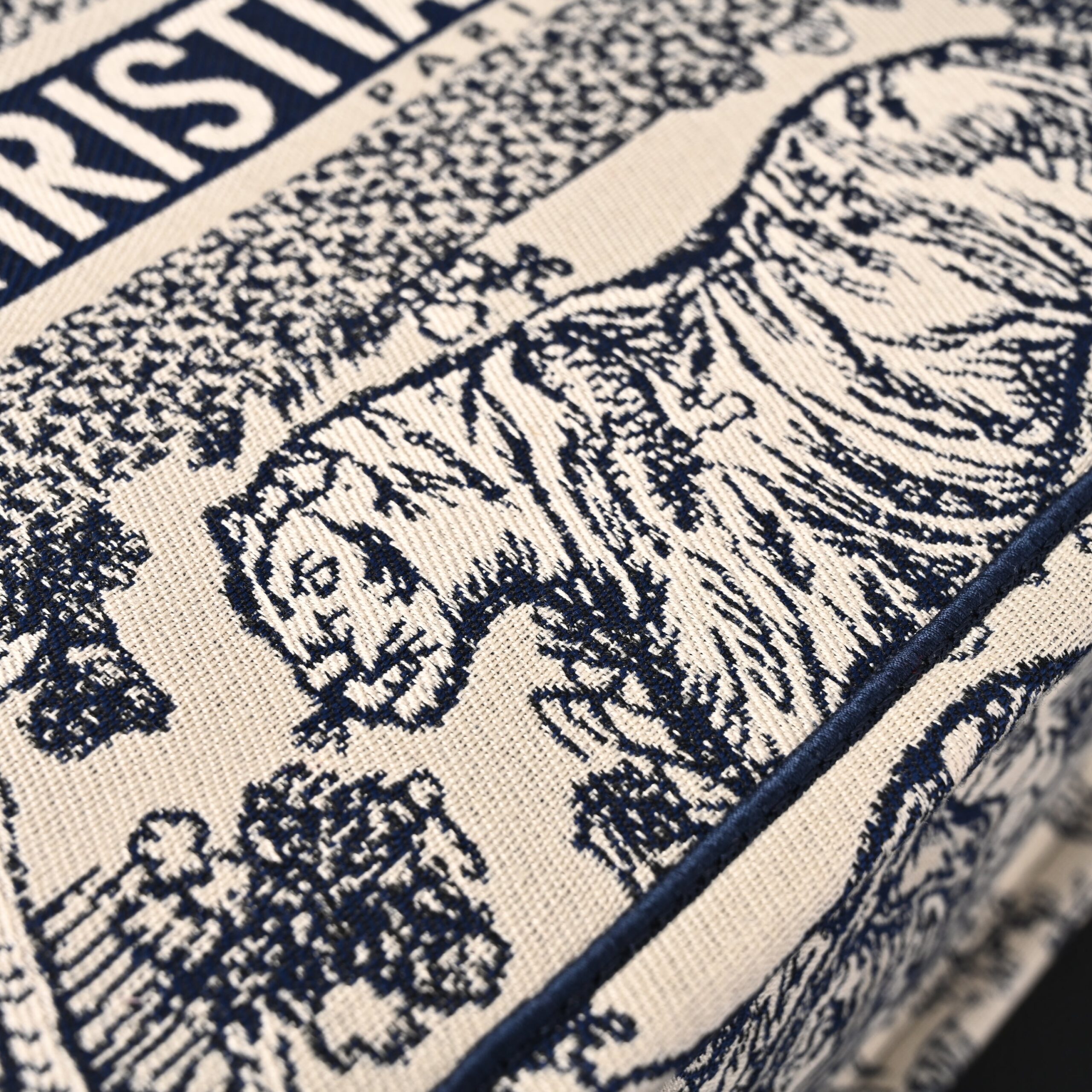 Dior Book Tote Bag – Blue Toile de Jouy Embroidery - Image 11