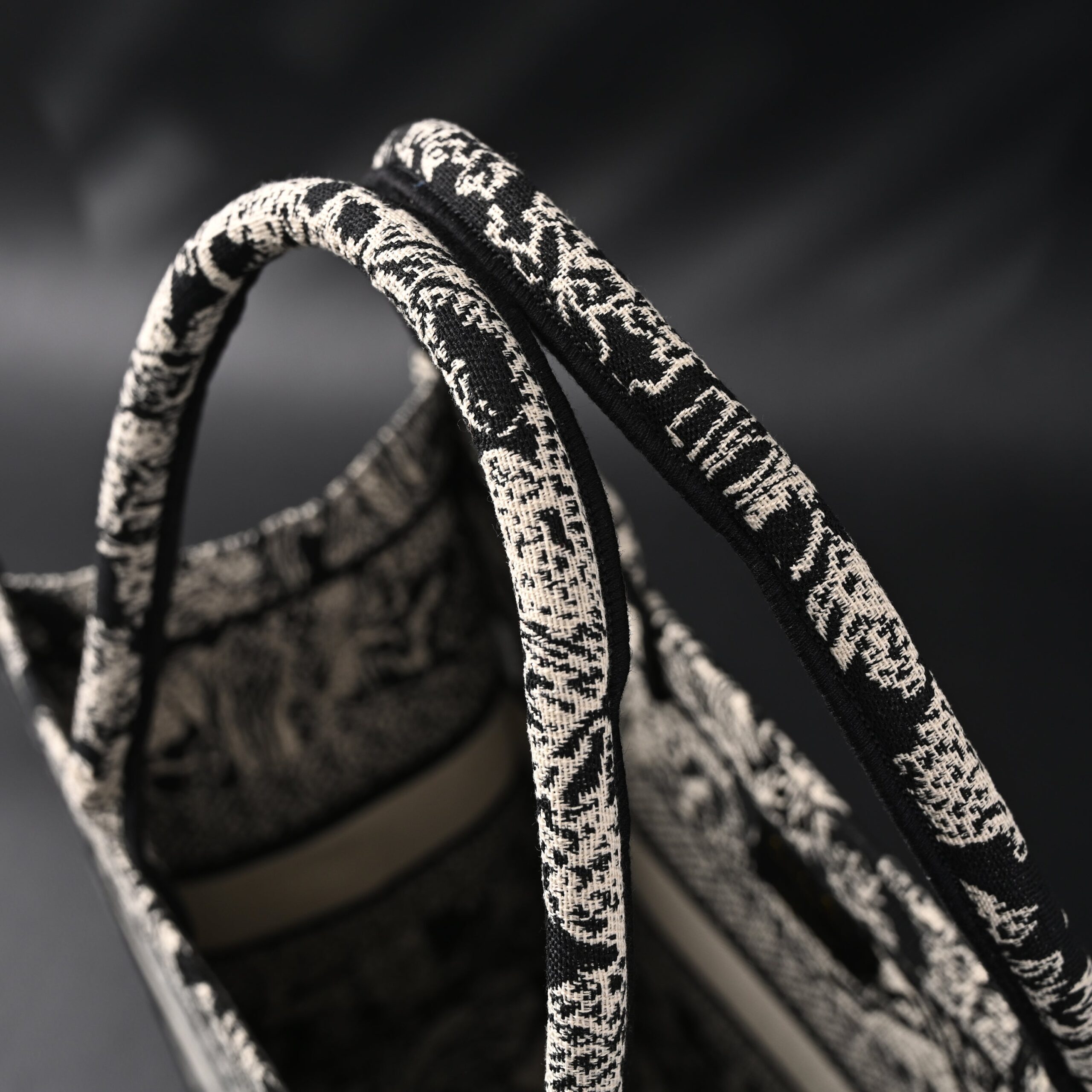 Dior Book Tote Bag – Black Toile de Jouy Embroidery - Image 10