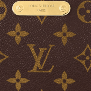 Louis Vuitton Liv Pochette coated canvas - Image 5