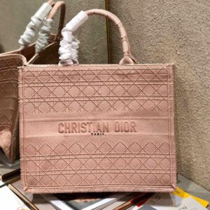 Dior Book Tote