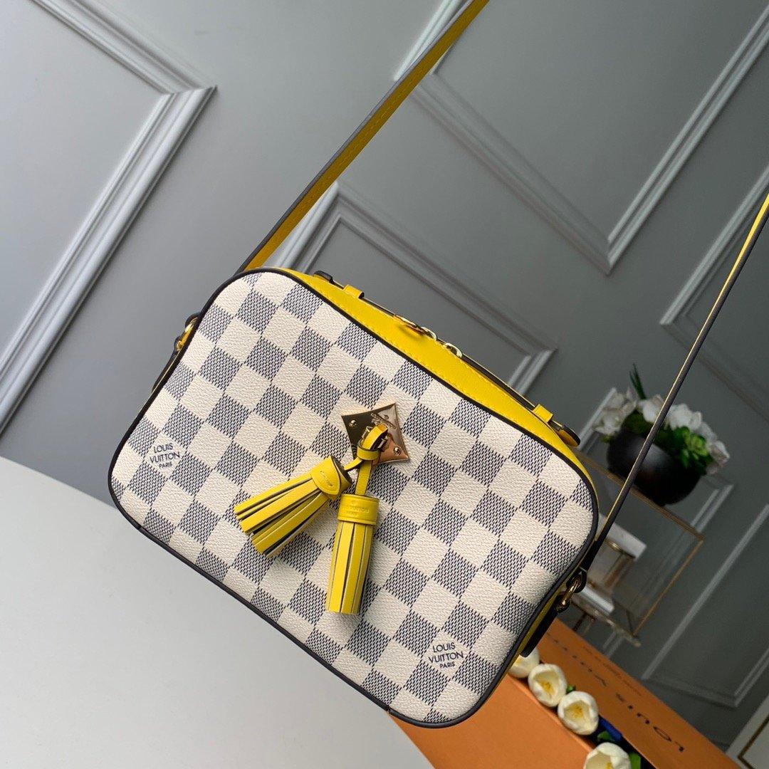 Louis Vuitton Bag - Image 1