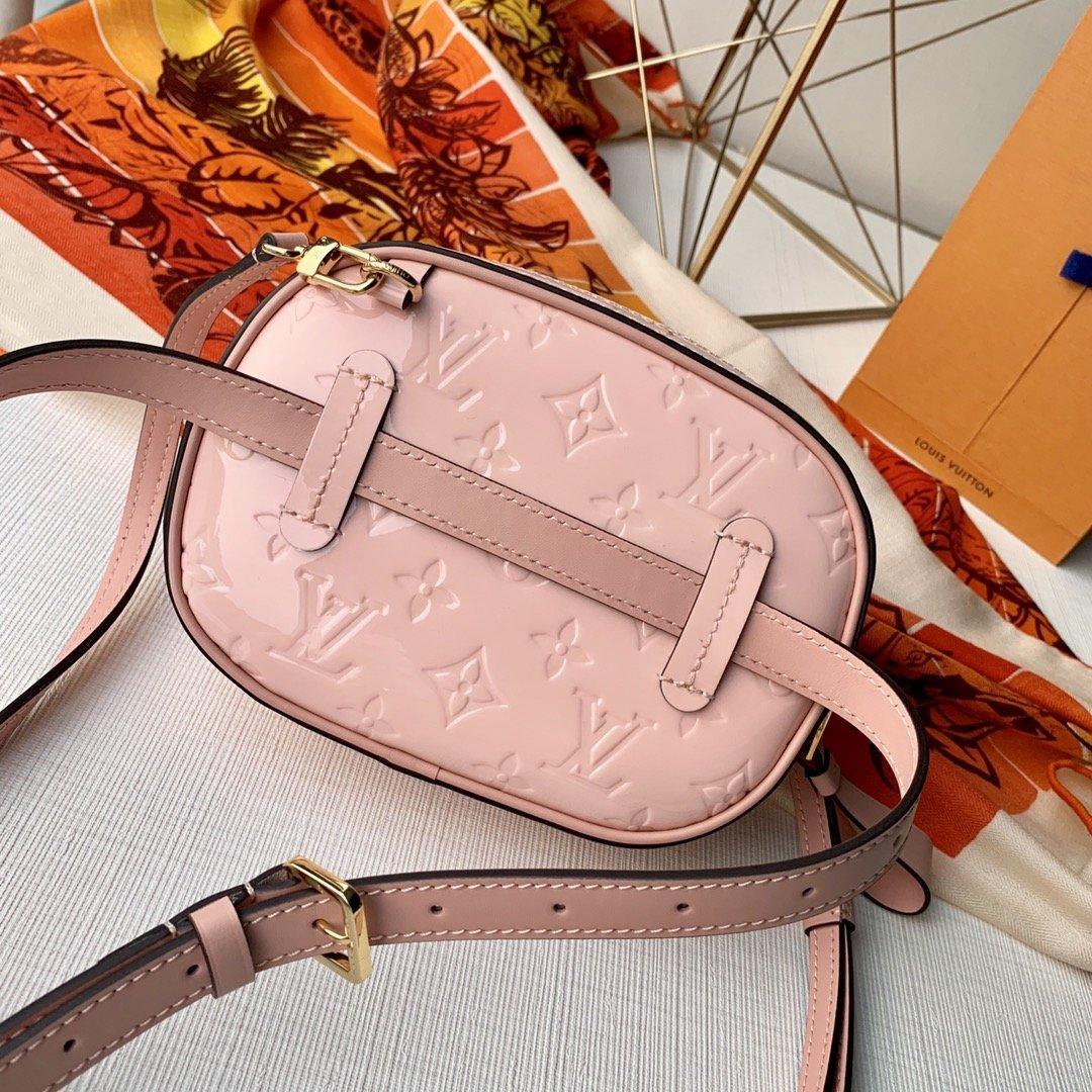 Louis Vuitton Belt Bag - Image 4