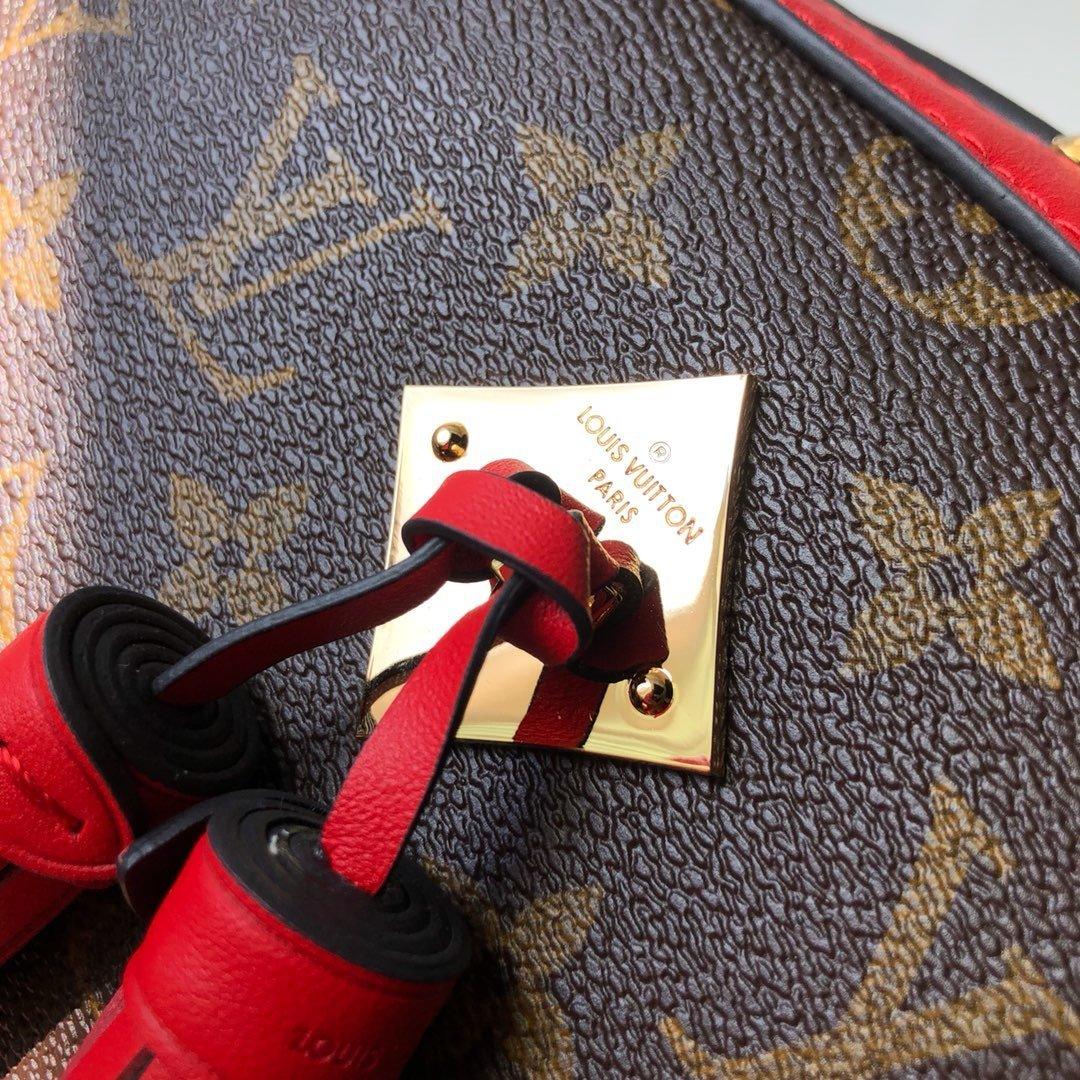 Louis Vuitton SAINTONGE - Image 7