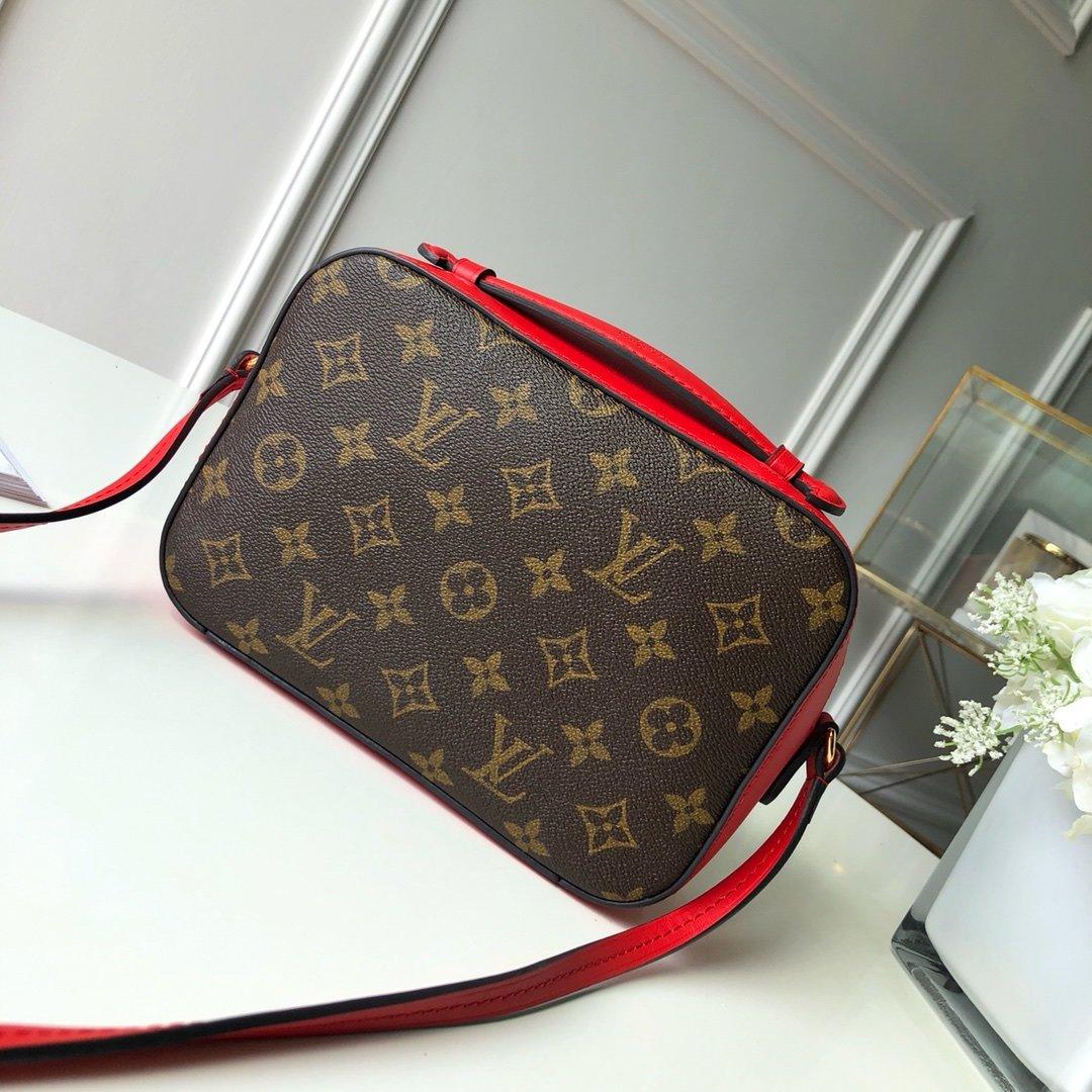 Louis Vuitton SAINTONGE - Image 8