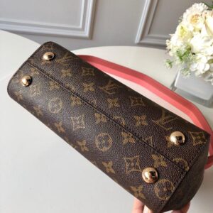 Louis Vuitton CLUNY BB - Image 5