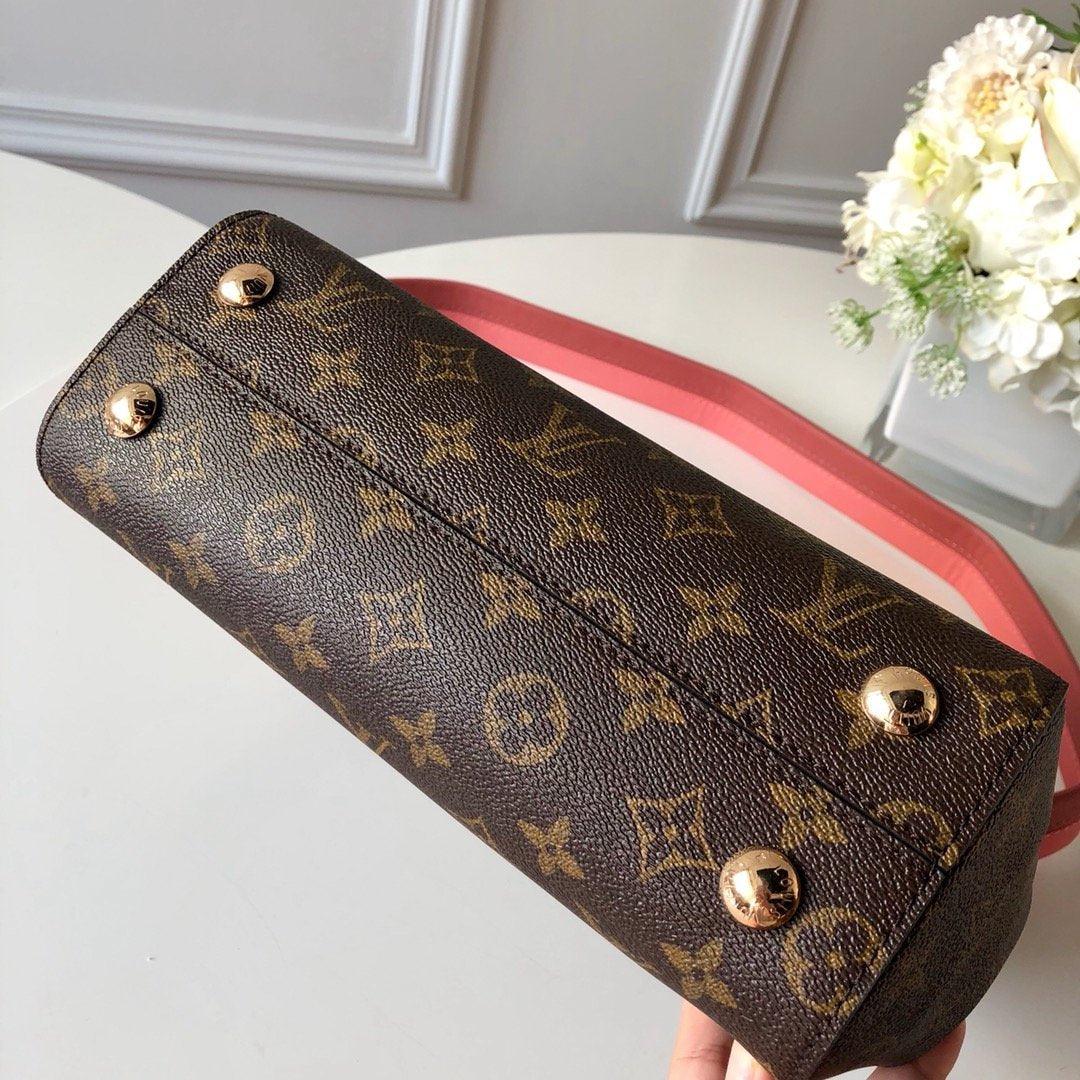 Louis Vuitton CLUNY BB - Image 5