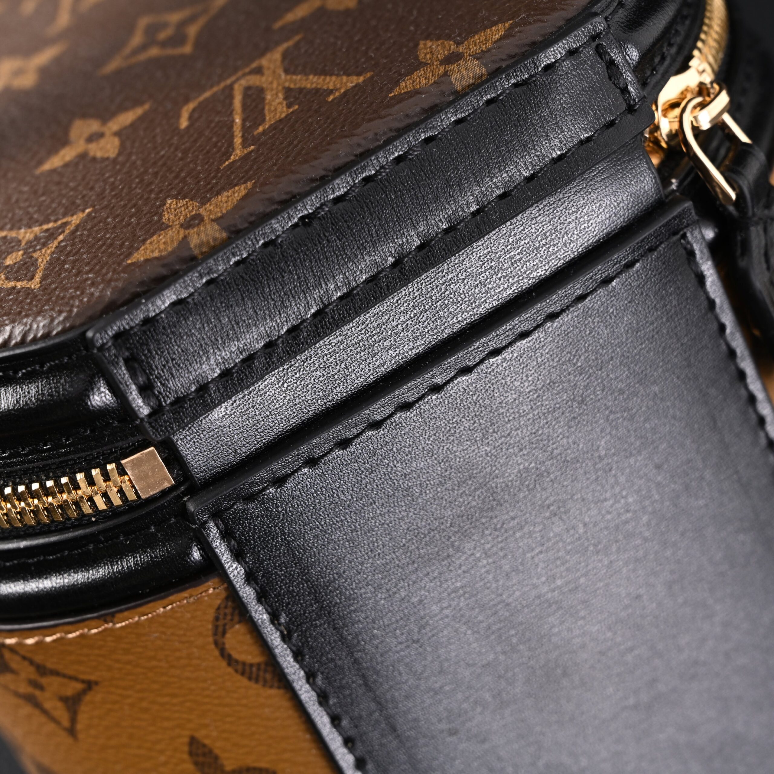 Louis Vuitton Cannes Bag – Monogram Canvas Vanity Case with Top Handle (Small) - Image 8